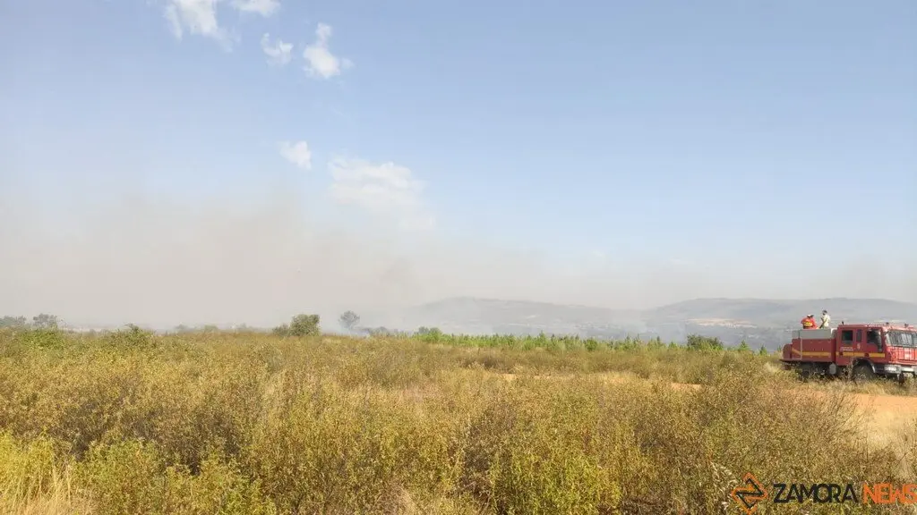 Incendios Forestales Zamora_6