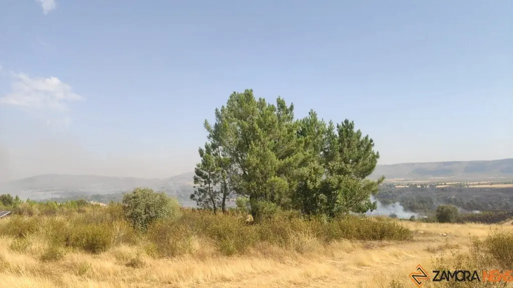 Incendios Forestales Zamora_9