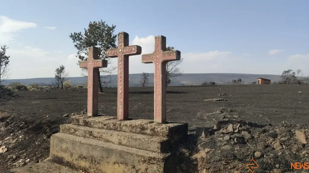 Riofrío de Aliste tras el fuego_3