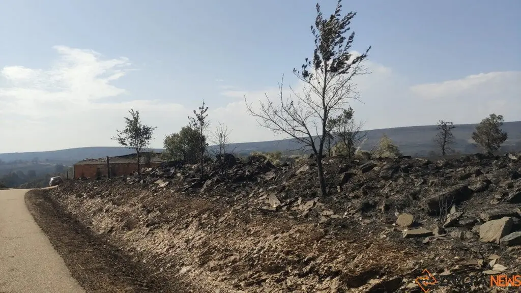 Riofrío de Aliste tras el fuego_6