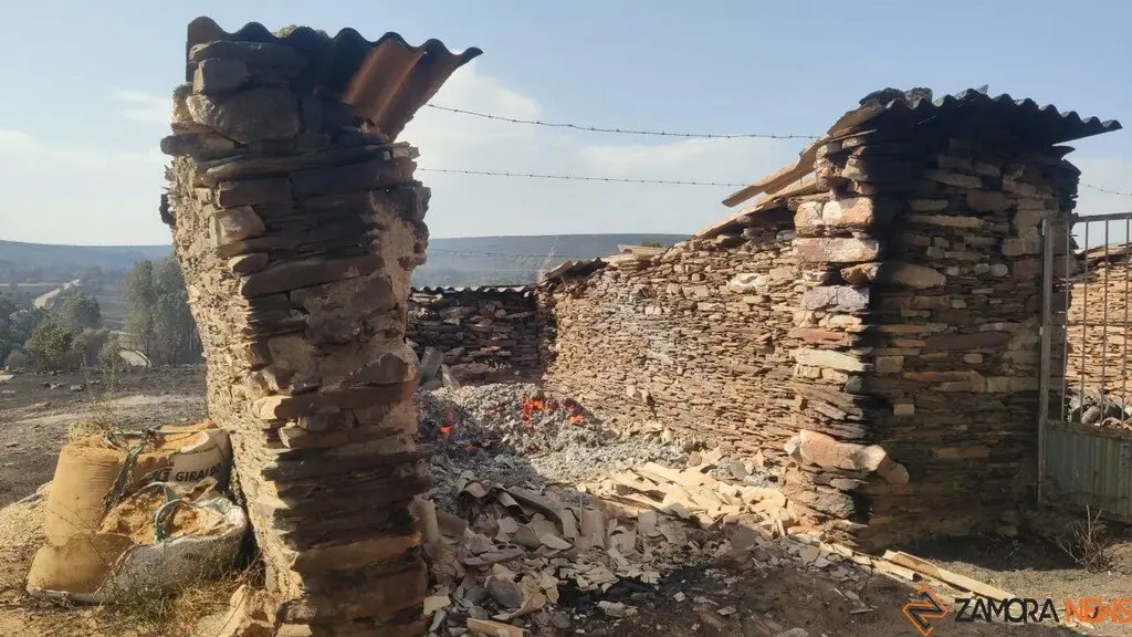 Riofrío de Aliste tras el fuego_8