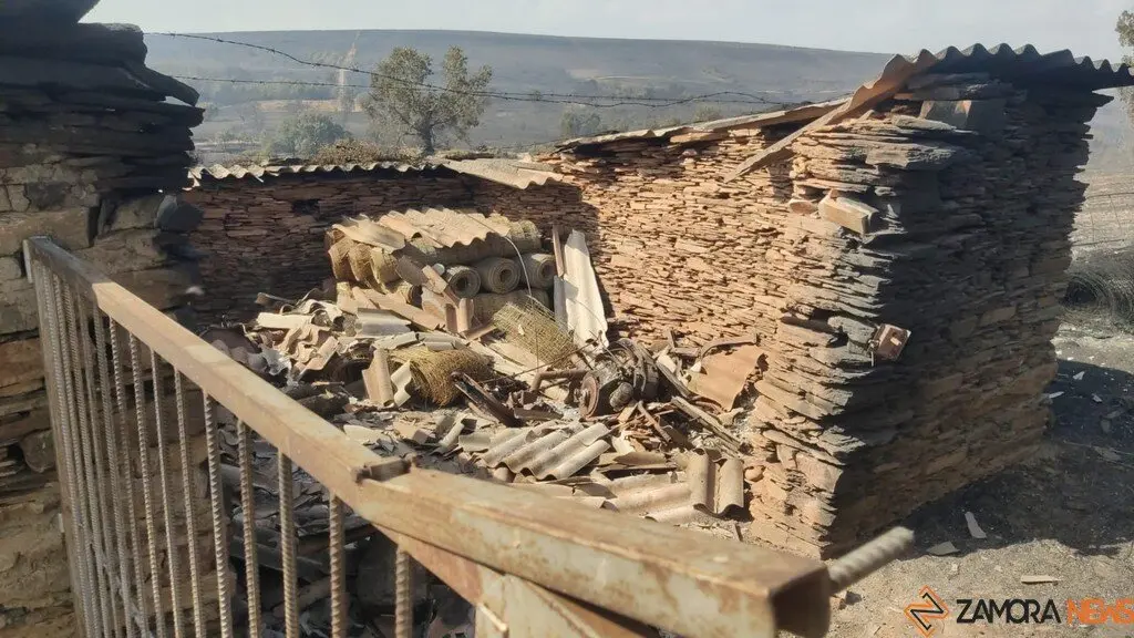 Riofrío de Aliste tras el fuego_9