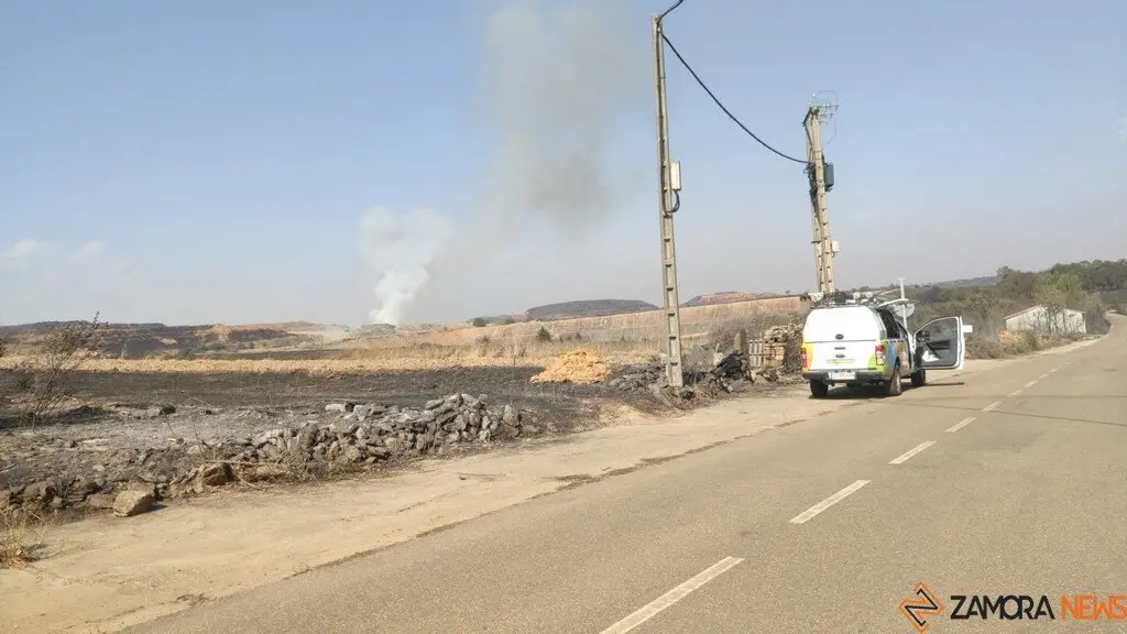 Riofrío de Aliste tras el fuego_11