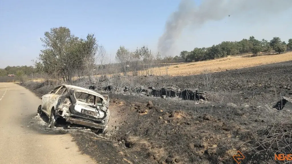 Abejera de Tábara tras el fuego