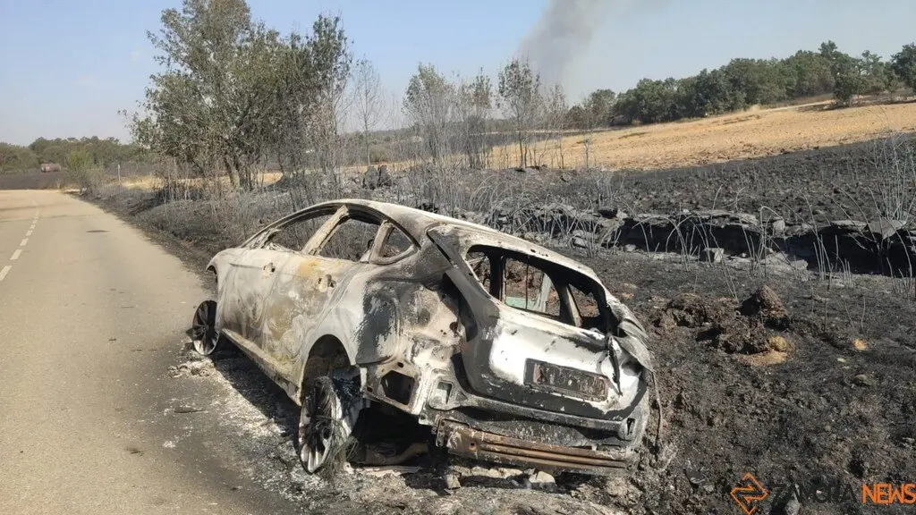 Abejera de Tábara tras el fuego_2