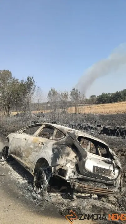 Abejera de Tábara tras el fuego_3