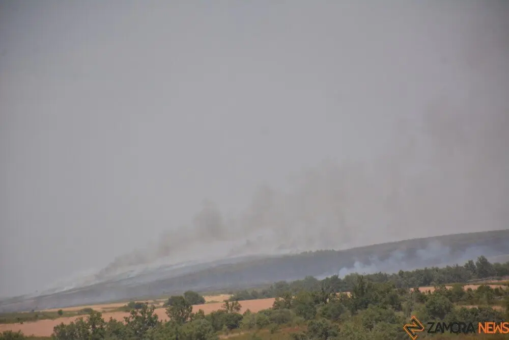 fuego serracín, abejera, riofrio_12