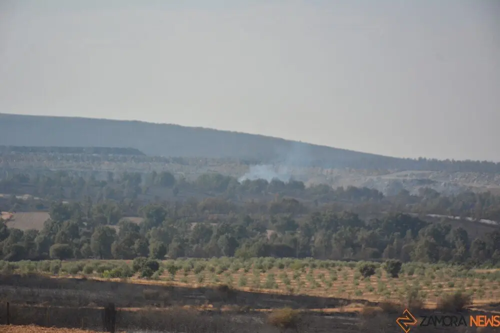 fuego serracín, abejera, riofrio_25