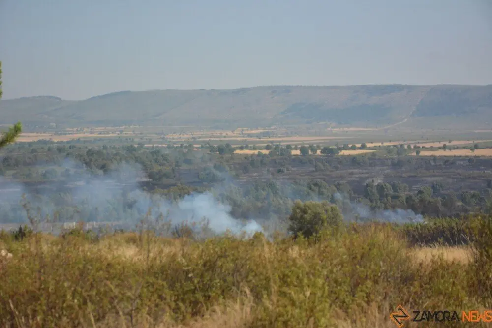 fuego serracín, abejera, riofrio_39