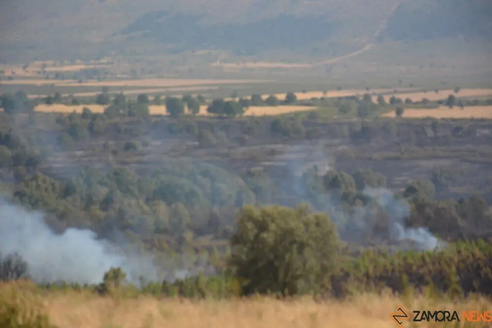 fuego serracín, abejera, riofrio_43