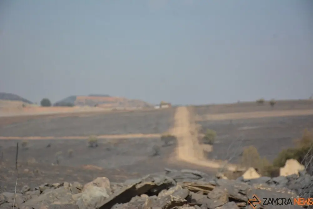 fuego serracín, abejera, riofrio_51