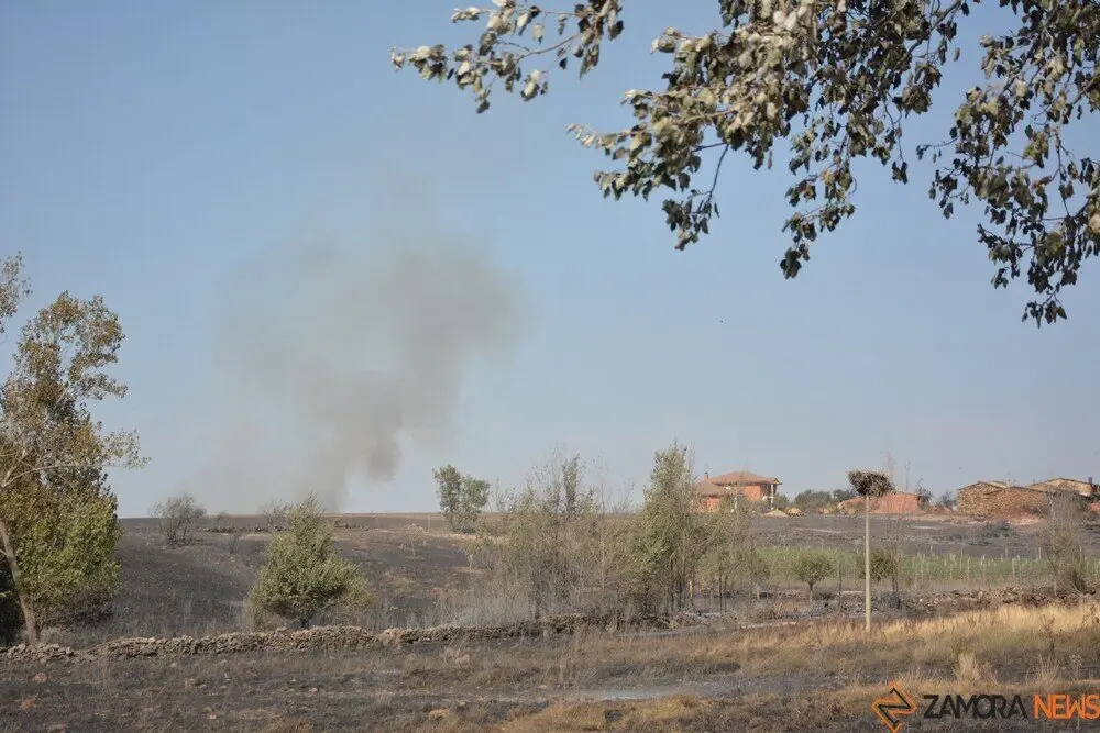 fuego serracín, abejera, riofrio_64