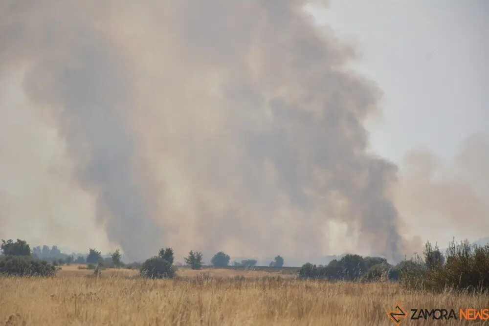 fuego serracín, abejera, riofrio_90
