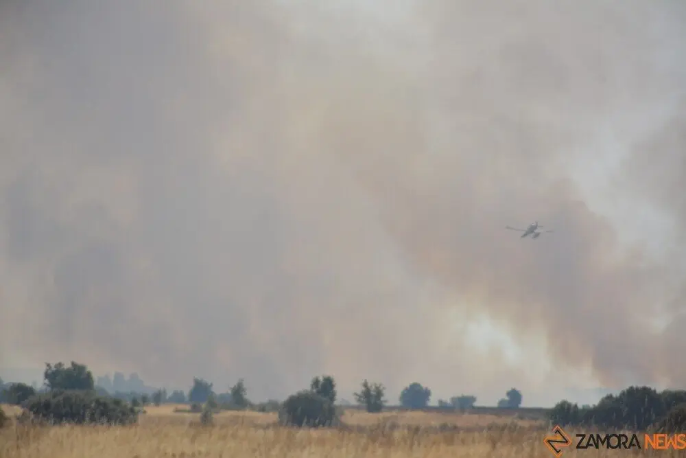fuego serracín, abejera, riofrio_98