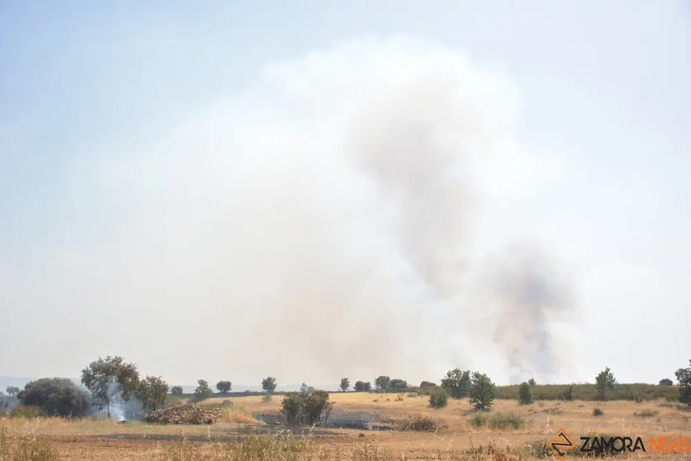 fuego serracín, abejera, riofrio_108