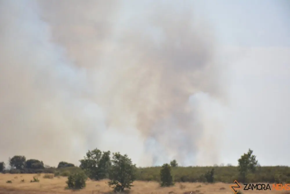 fuego serracín, abejera, riofrio_110