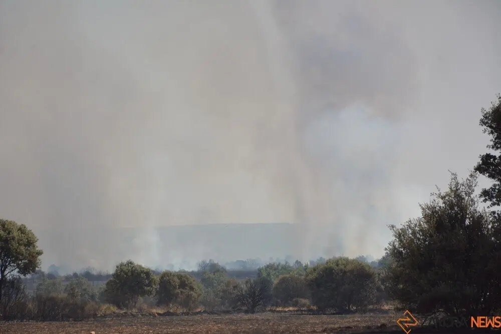 fuego serracín, abejera, riofrio_114