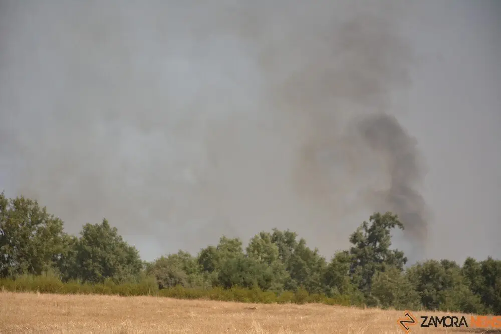 fuego serracín, abejera, riofrio_129