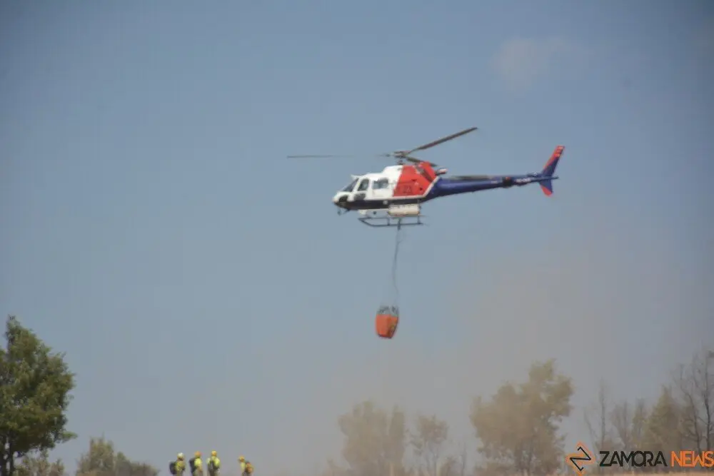 fuego serracín, abejera, riofrio_162