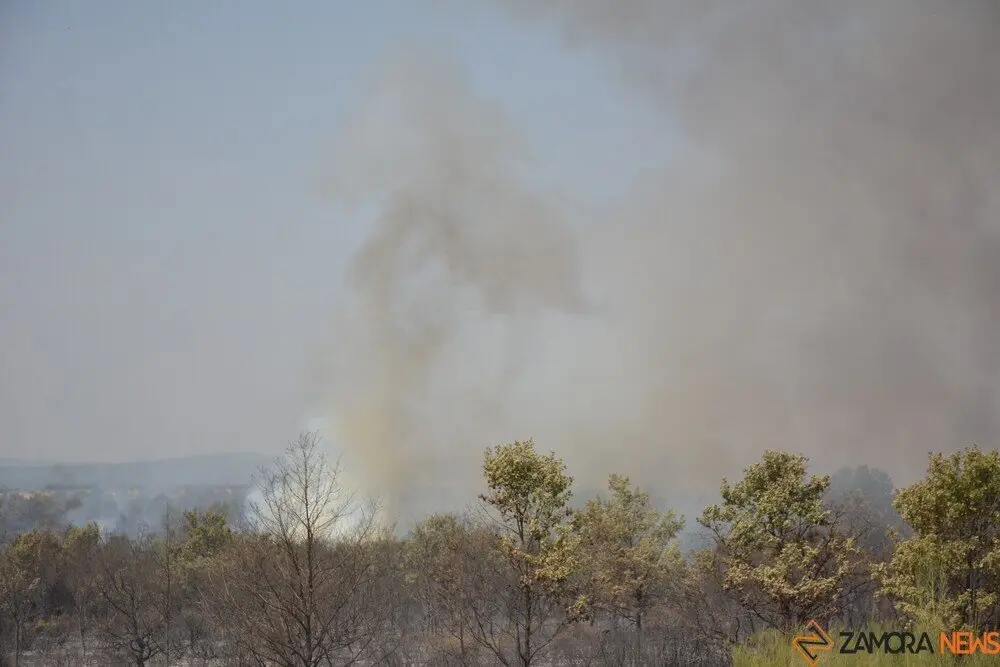 fuego serracín, abejera, riofrio_175