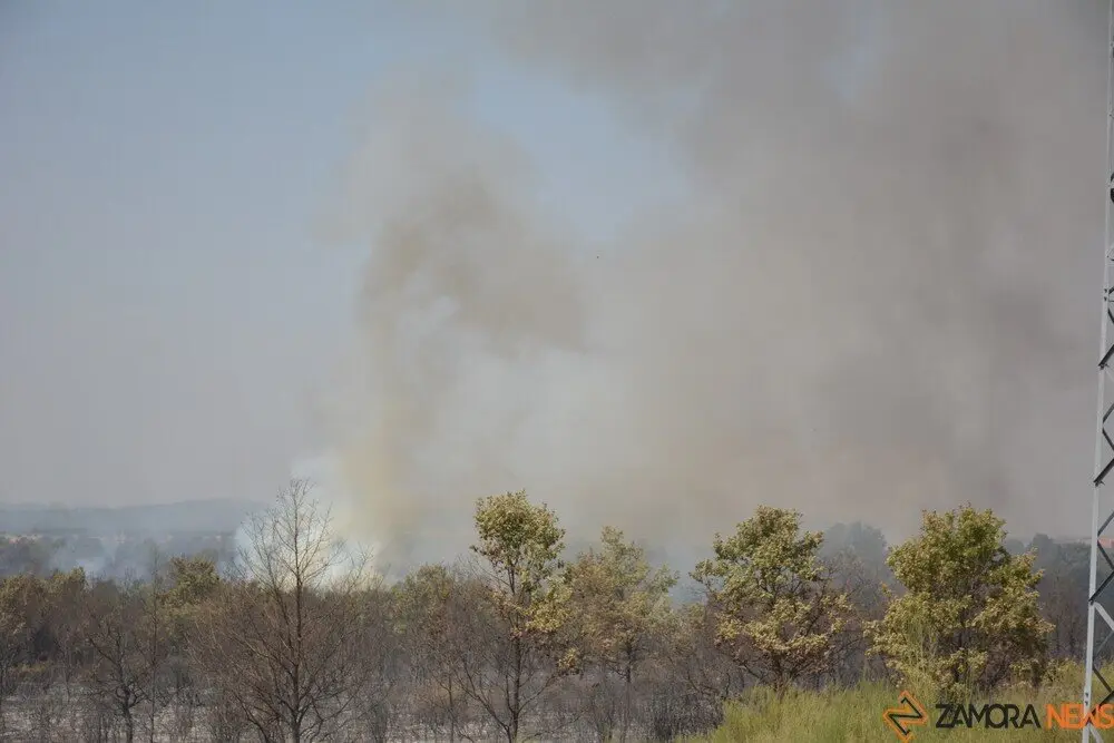 fuego serracín, abejera, riofrio_177