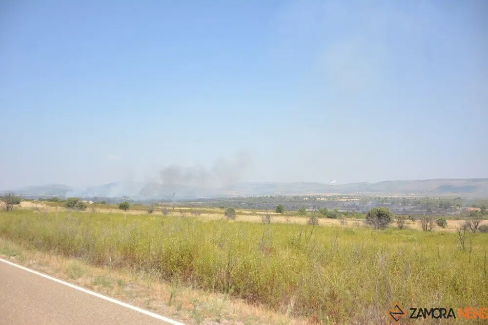 fuego serracín, abejera, riofrio_178