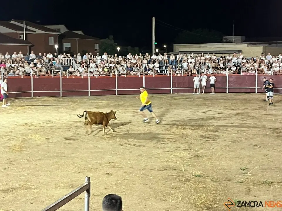 vaquillas Villaralbo _4