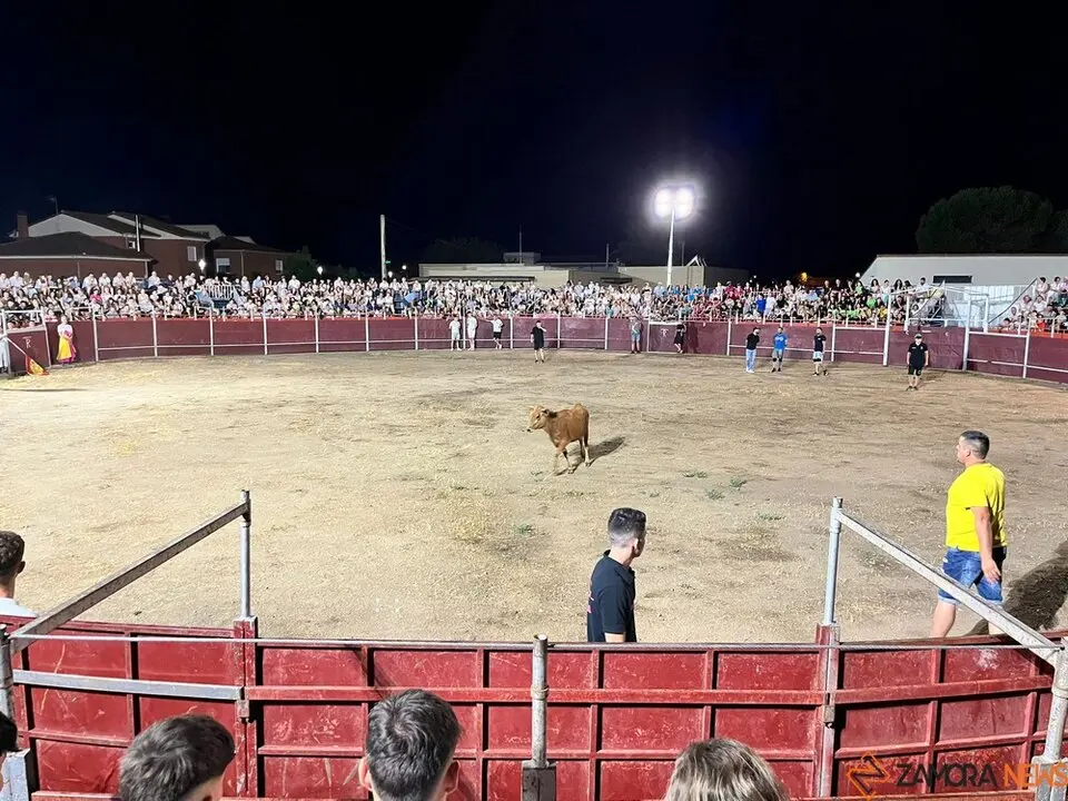 vaquillas Villaralbo _9