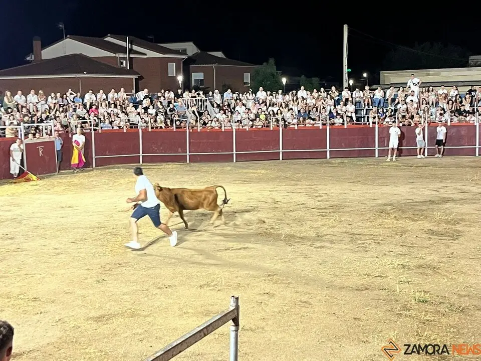 vaquillas Villaralbo _8