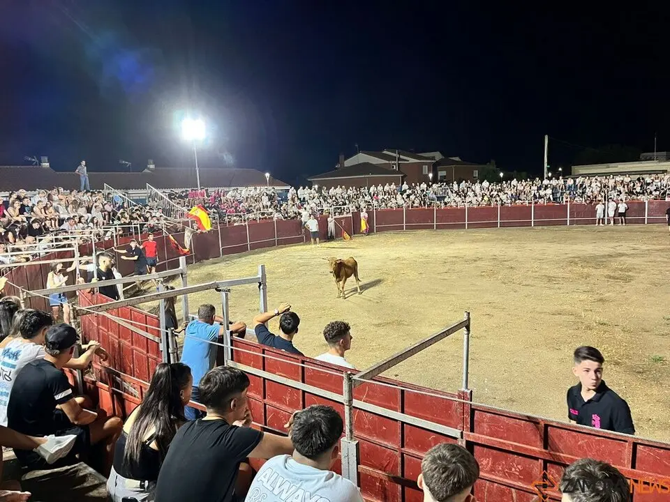 vaquillas Villaralbo _18