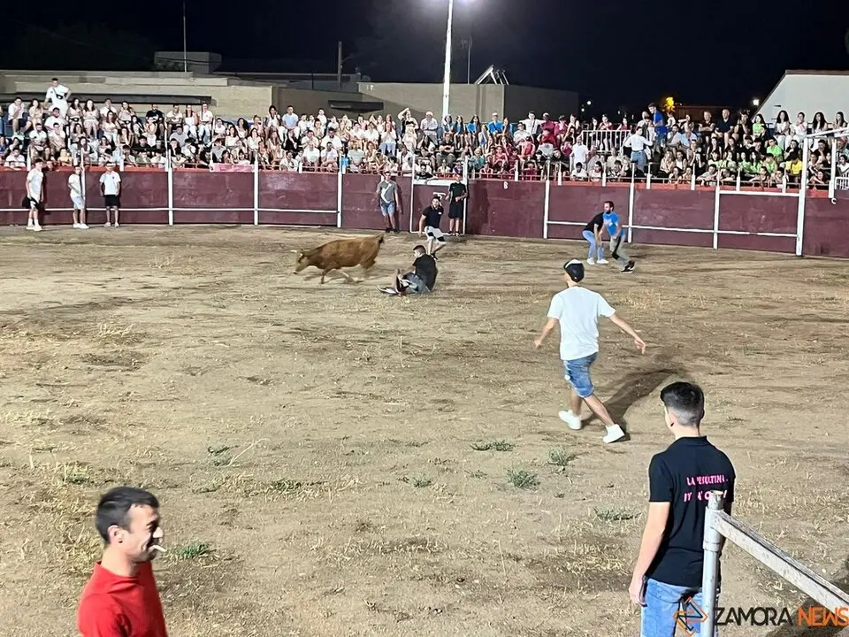 vaquillas Villaralbo _19
