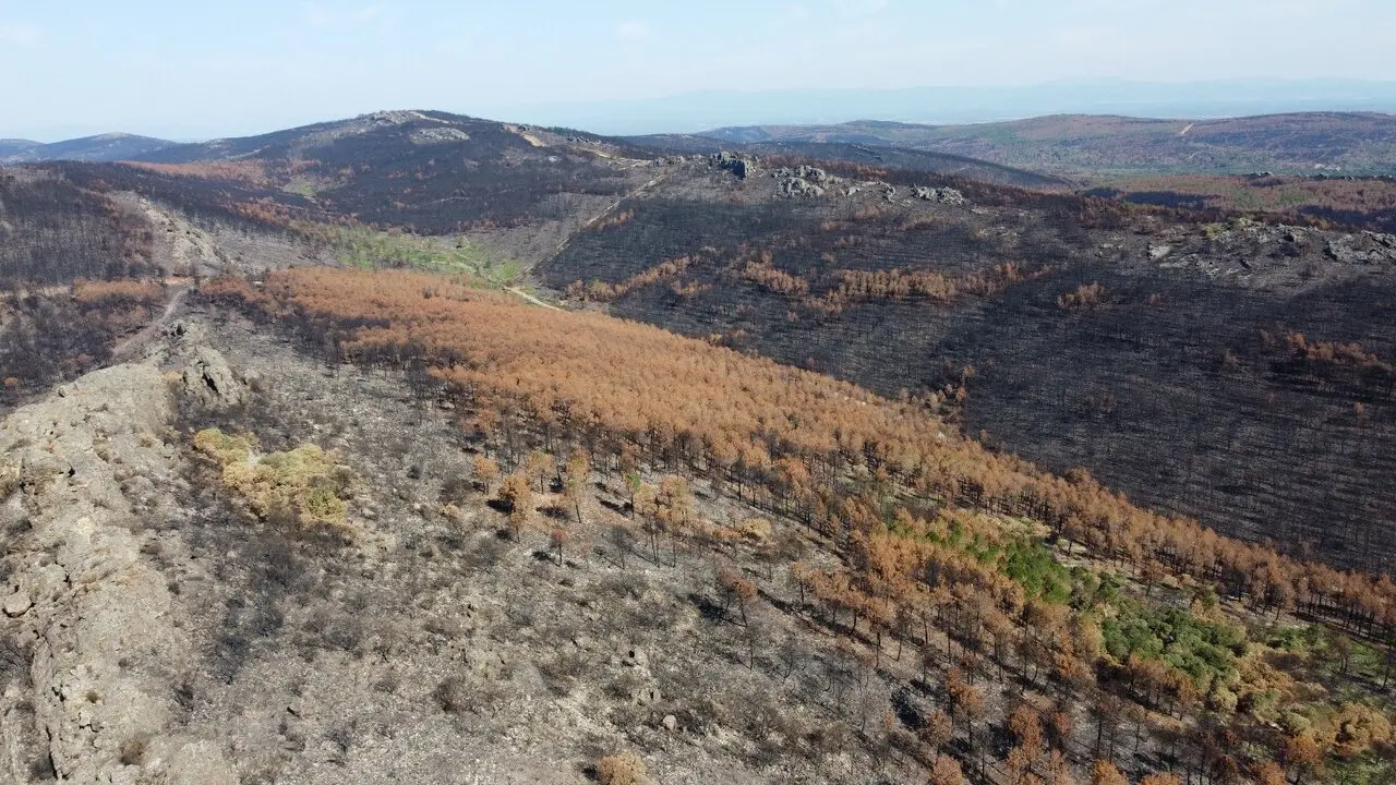 foto archivo incendios ecologistas zamora