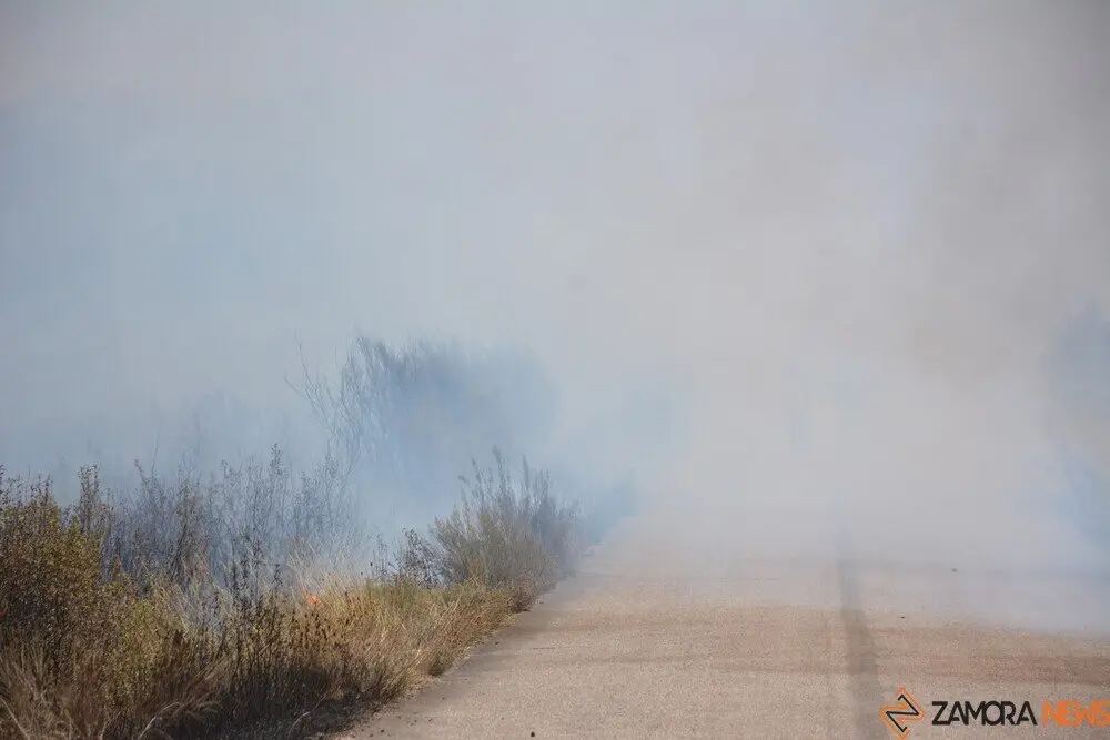 humo en carreteras