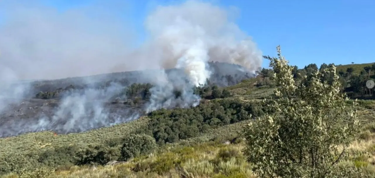Fuego Castromiol_2