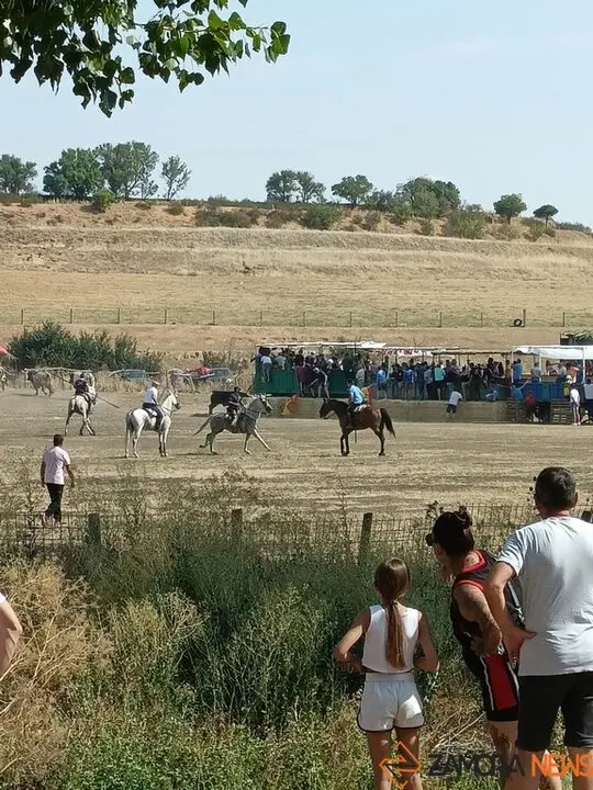 Encierro Fuentelapeña_5