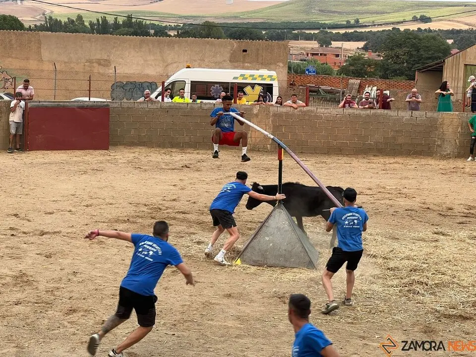 Grand Prix de peñas Coreses_8