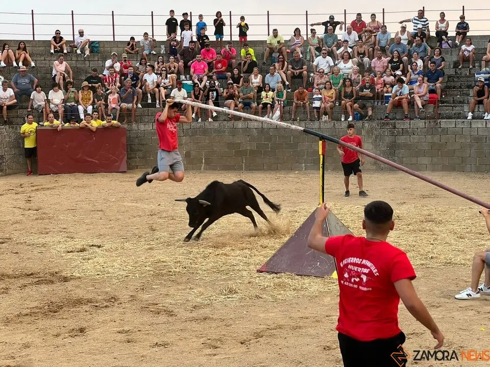 Grand Prix de peñas Coreses_9