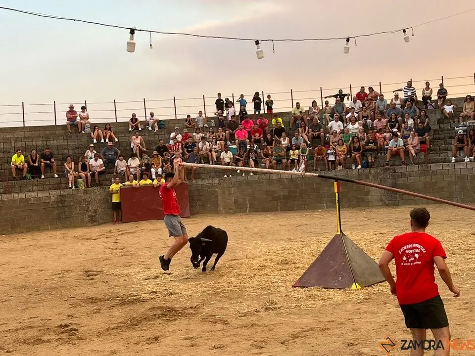 Grand Prix de peñas Coreses_10