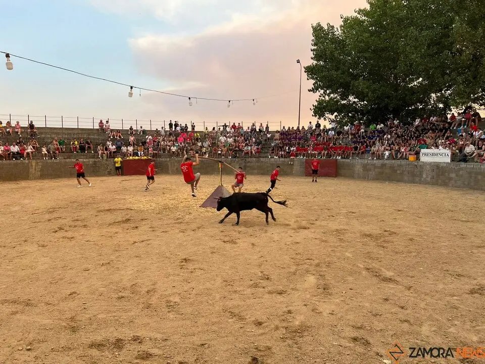 Grand Prix de peñas Coreses_12