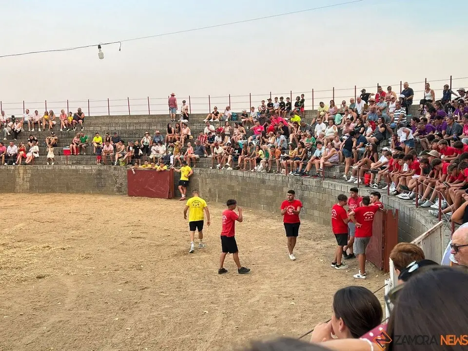 Grand Prix de peñas Coreses_26