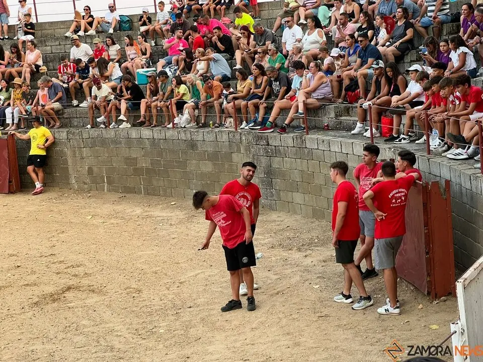 Grand Prix de peñas Coreses_28