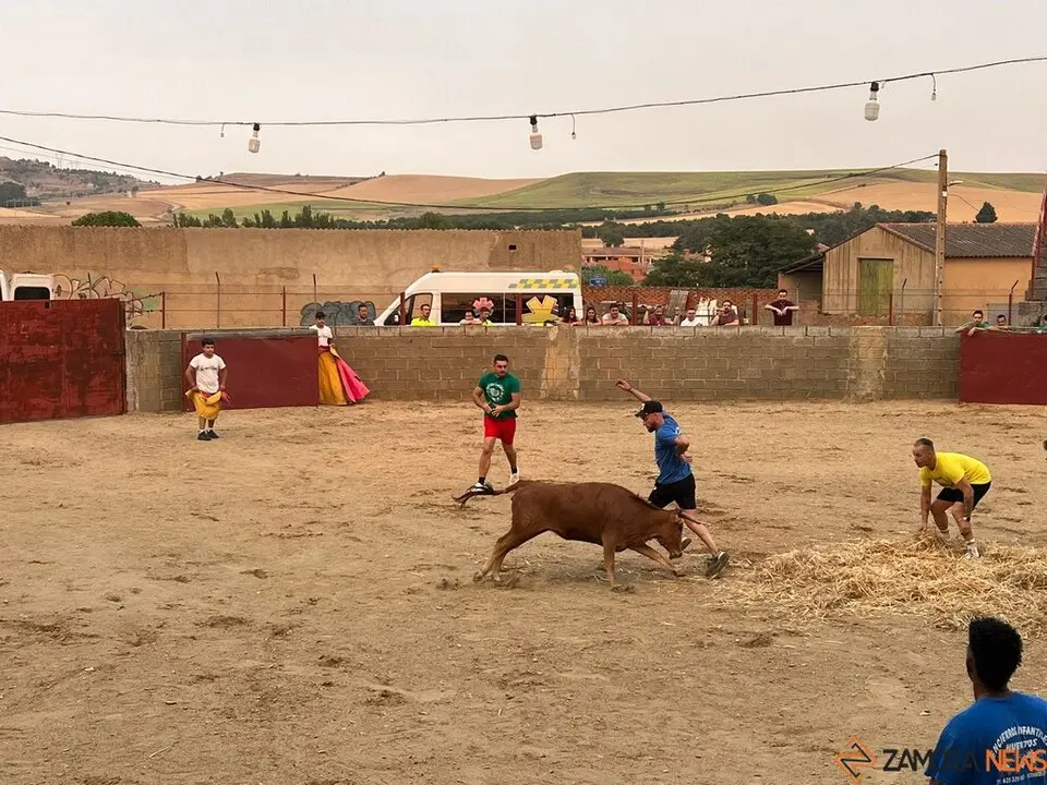 Grand Prix de peñas Coreses_29