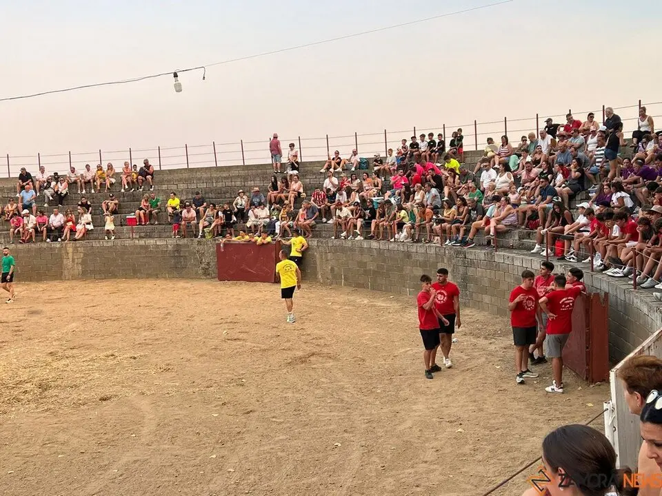 Grand Prix de peñas Coreses_30