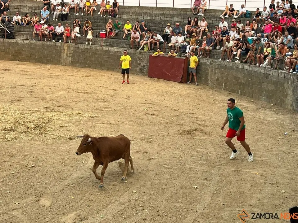 Grand Prix de peñas Coreses_31