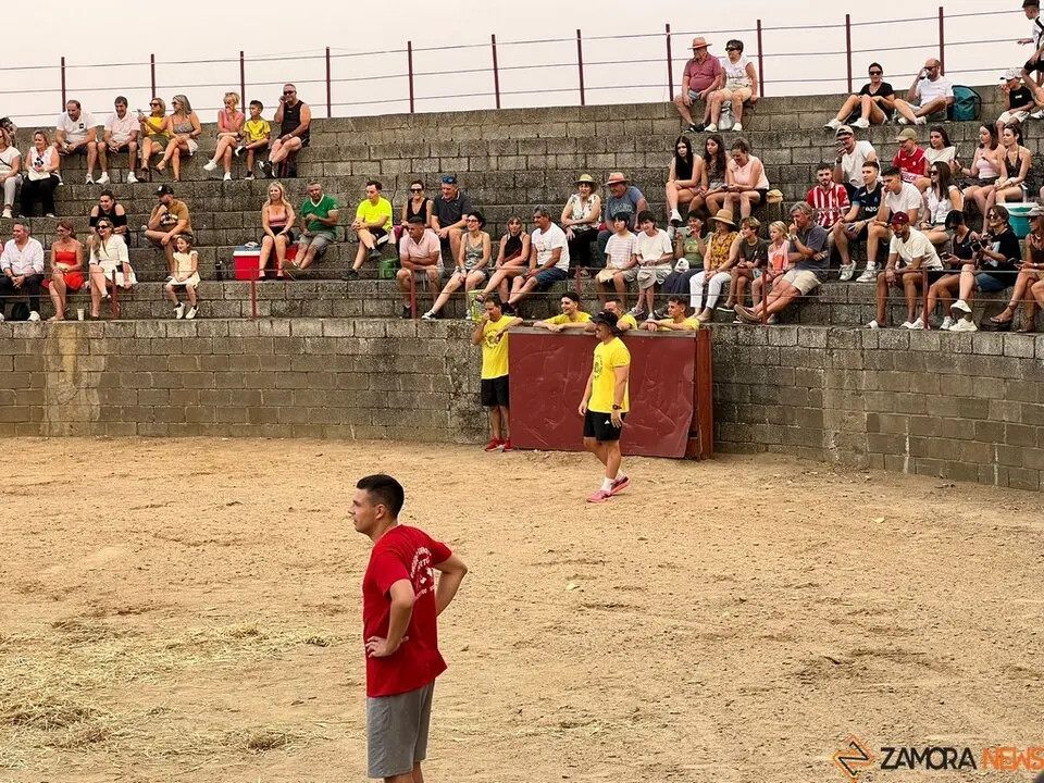 Grand Prix de peñas Coreses_32