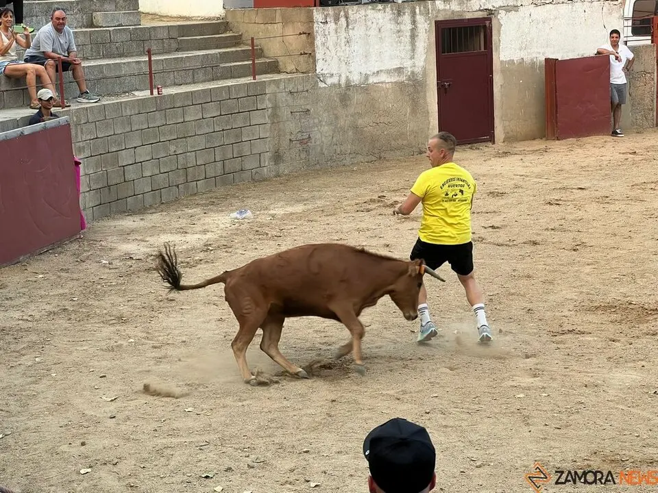 Grand Prix de peñas Coreses_33