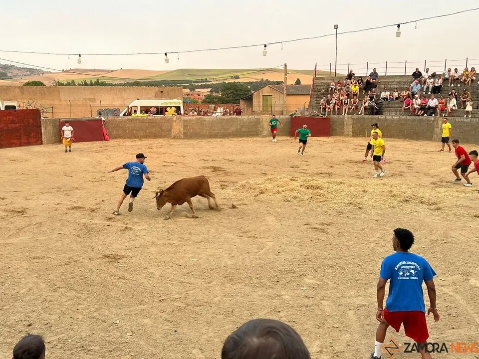 Grand Prix de peñas Coreses_34