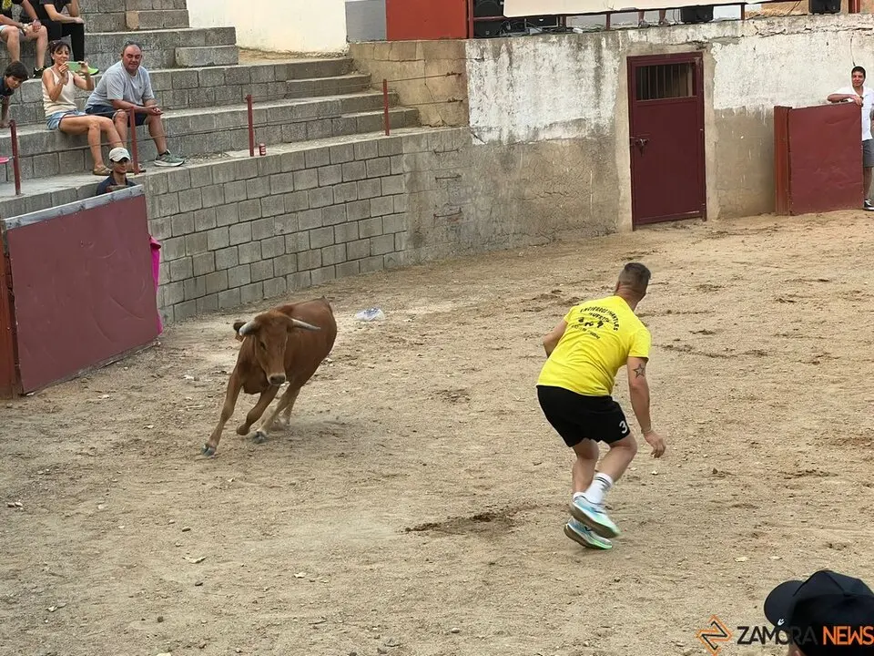 Grand Prix de peñas Coreses_35