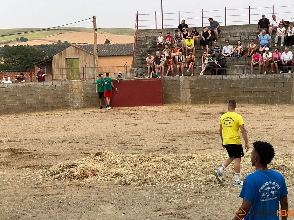 Grand Prix de peñas Coreses_37