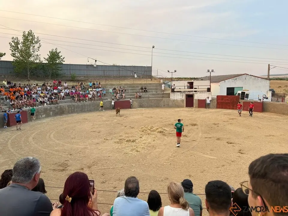 Grand Prix de peñas Coreses_39